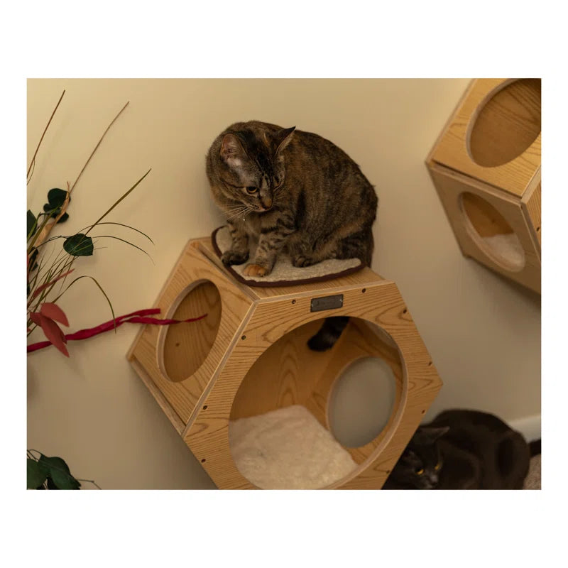 Natural Wood Cat Wall Tree Set | 2 Hexagonal Wall Condos