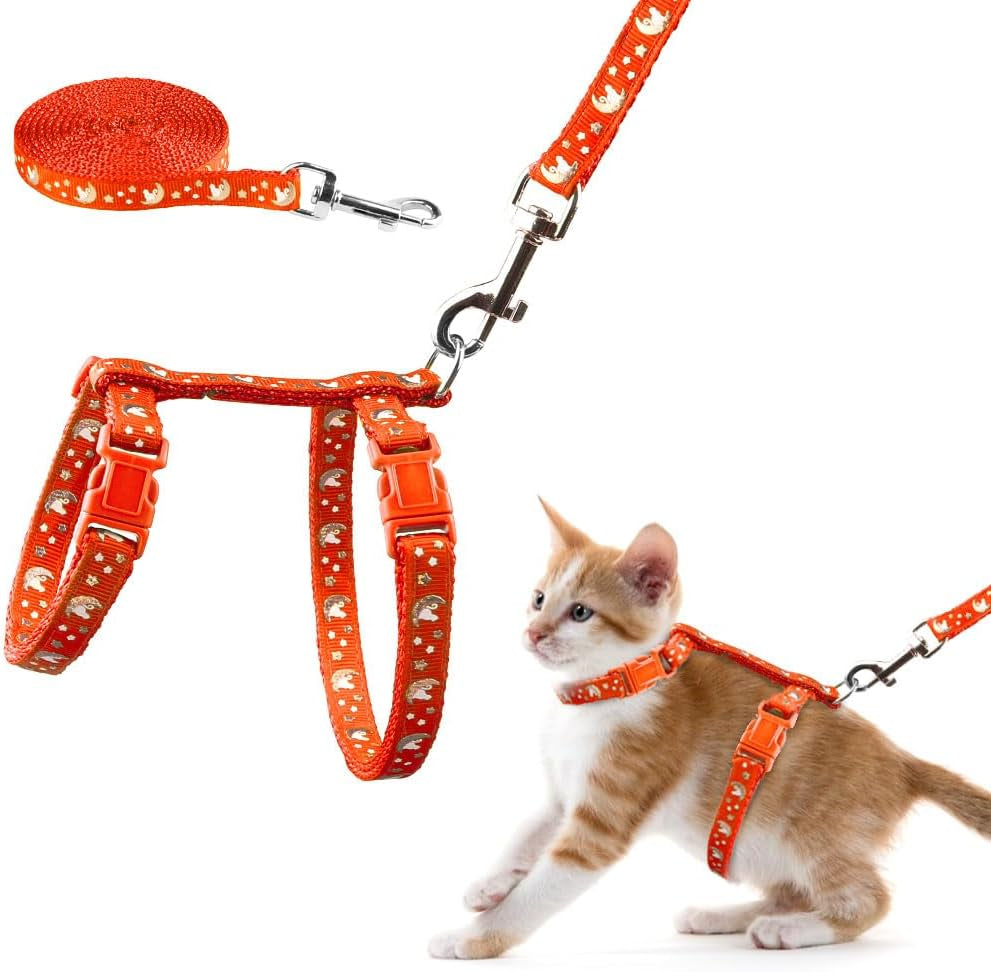 Cat Harness & Leash Set – Escape Proof Adjustable Nylon - FurriendlyPaws | Furry Friends, Happy Hearts
