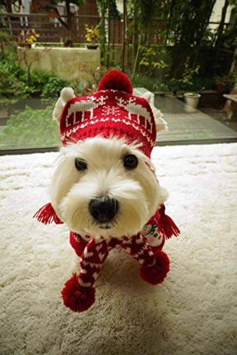 Pet Christmas Reindeer Scarf & Hat Set – Holiday Accessories for Dogs & Cats