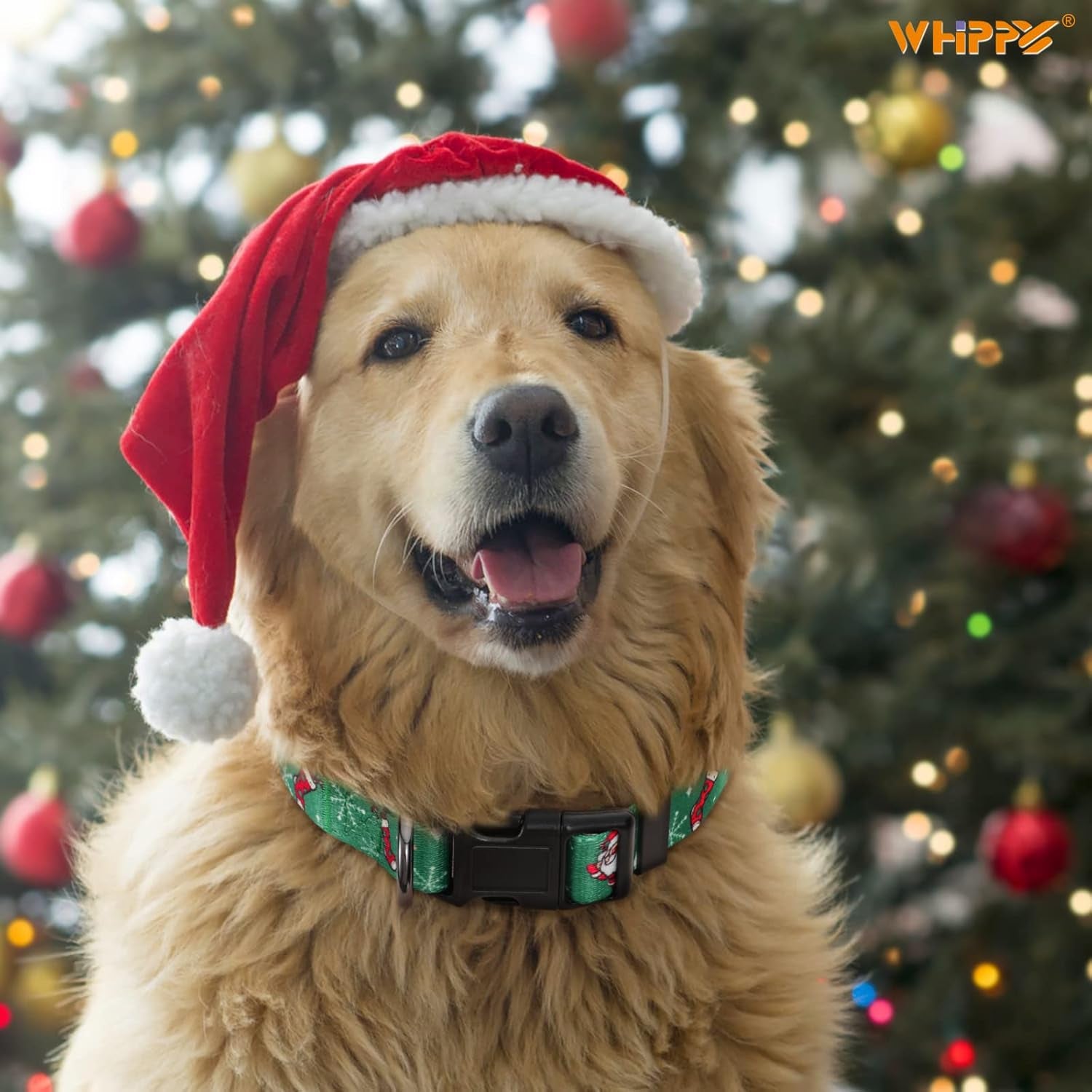 Christmas Dog Collar - Adjustable Pet Collar with Santa & Snowflakes