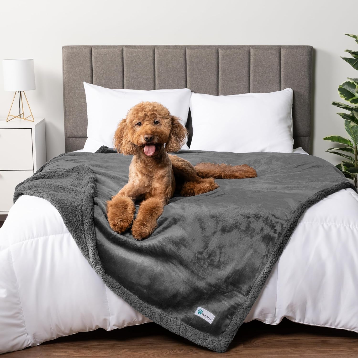 Waterproof Dog Blanket – Leakproof Pet Couch Cover, Multiple Sizes & Patterns - FurriendlyPaws | Furry Friends, Happy Hearts