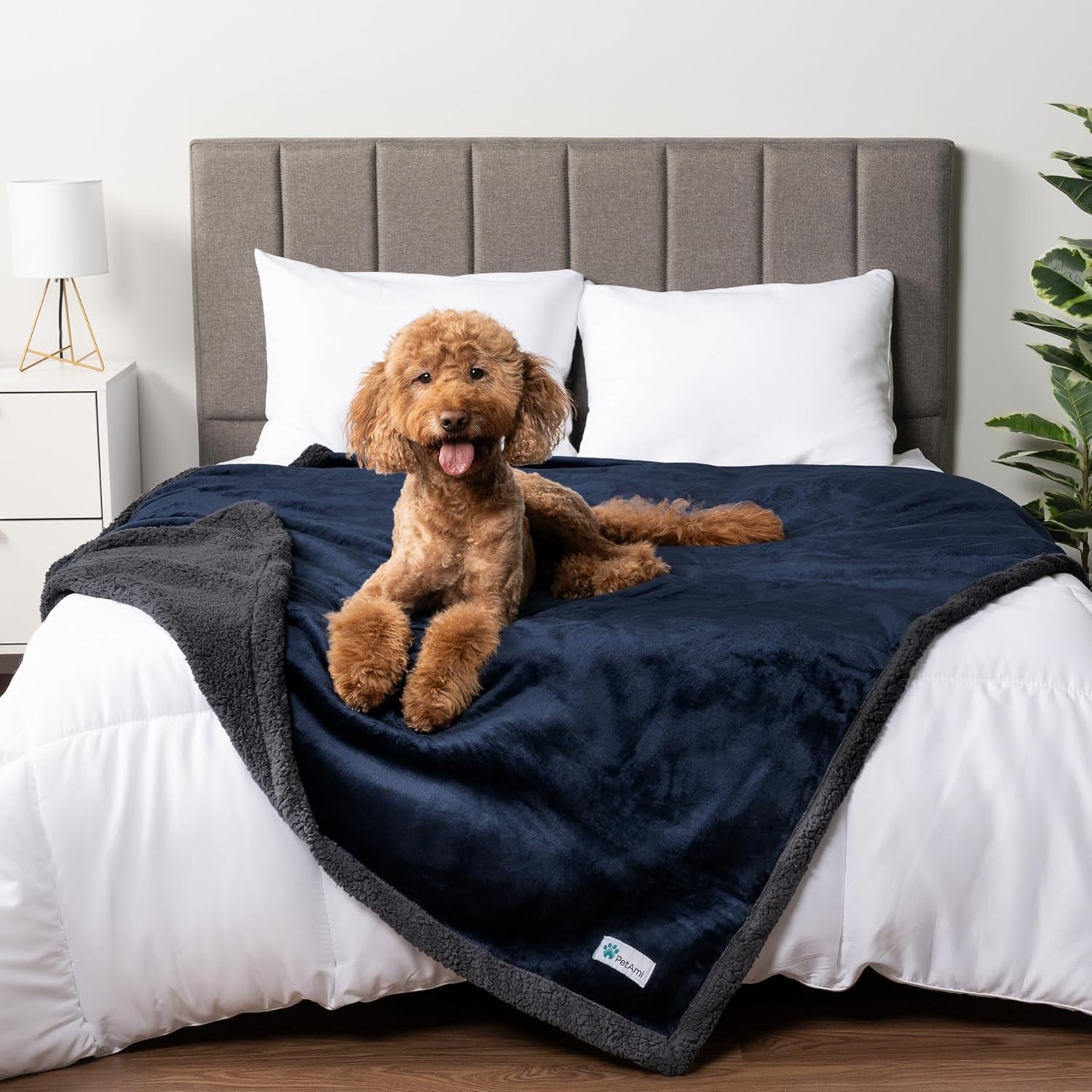 Waterproof Dog Blanket – Leakproof Pet Couch Cover, Multiple Sizes & Patterns - FurriendlyPaws | Furry Friends, Happy Hearts