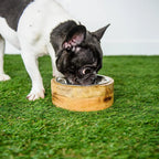 GF Pet Mango Wood Bowl – Handmade Dog & Cat Bowl with Stainless Insert