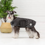 GF Pet Waterproof Blanket Jacket – Cozy, Dry & Stylish