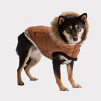 GF Pet ElastoFit Urban Dog Parka – Classic Style, Cozy City Comfort