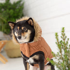 GF Pet ElastoFit Urban Dog Parka – Classic Style, Cozy City Comfort