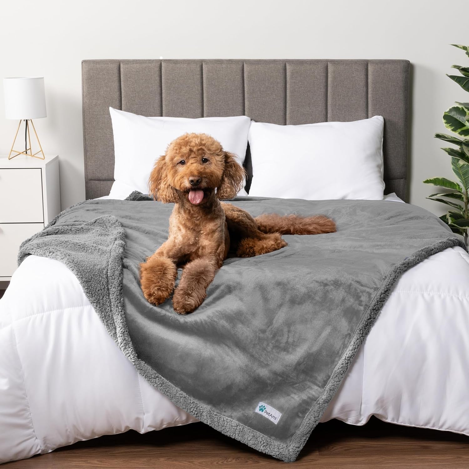 Waterproof Dog Blanket – Leakproof Pet Couch Cover, Multiple Sizes & Patterns - FurriendlyPaws | Furry Friends, Happy Hearts