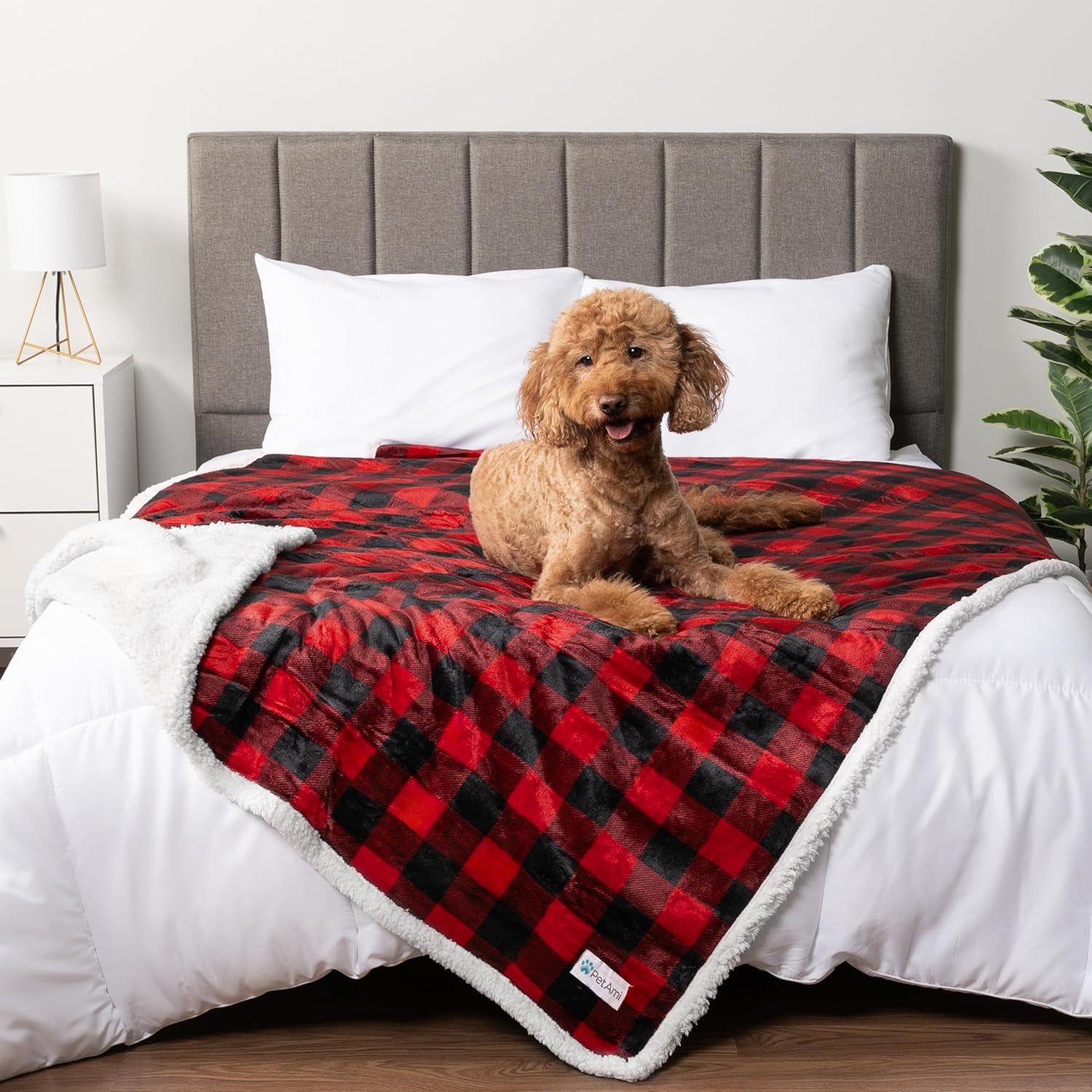 Waterproof Dog Blanket – Leakproof Pet Couch Cover, Multiple Sizes & Patterns - FurriendlyPaws | Furry Friends, Happy Hearts