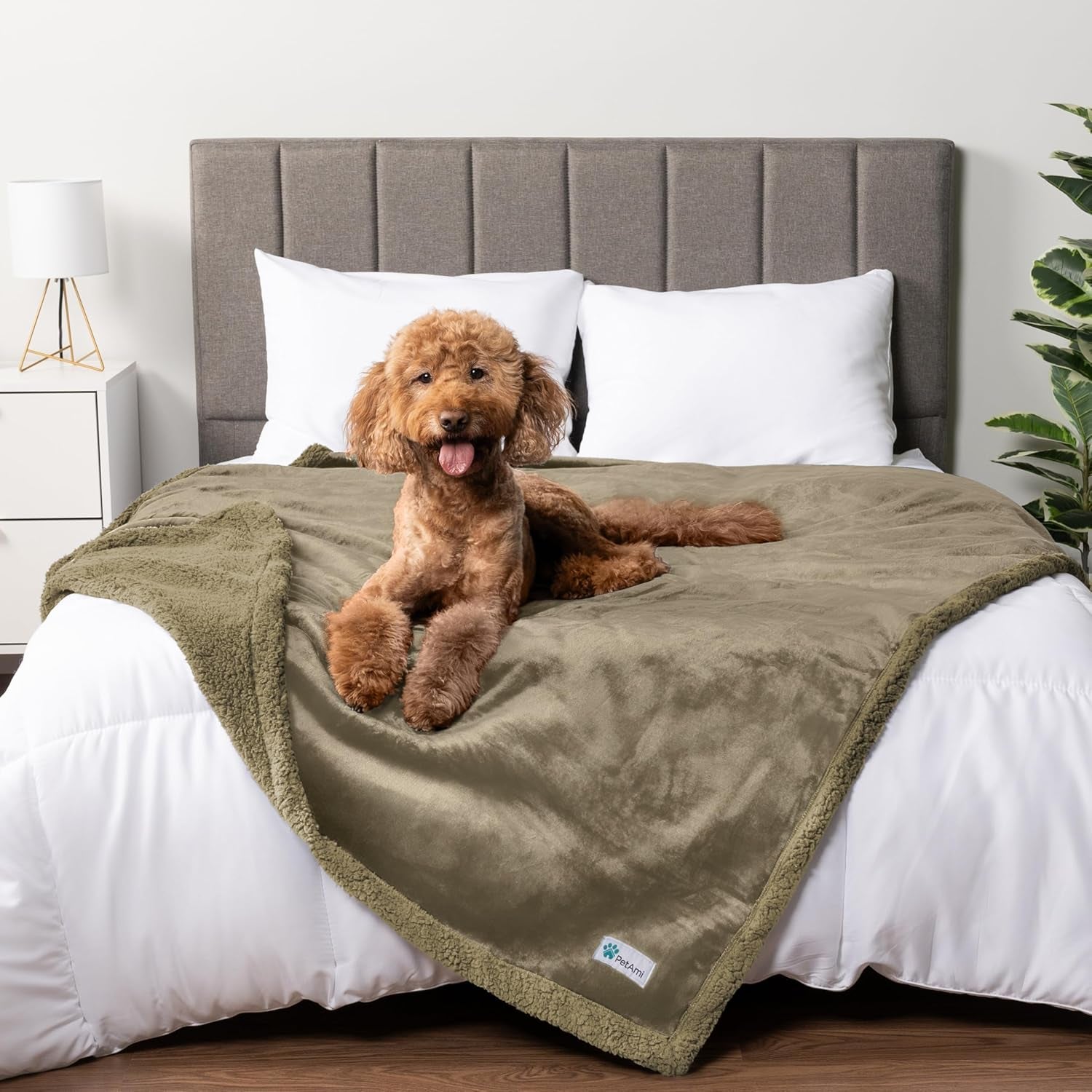 Waterproof Dog Blanket – Leakproof Pet Couch Cover, Multiple Sizes & Patterns - FurriendlyPaws | Furry Friends, Happy Hearts