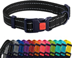 Dog collar with a red buckle and a row of colorful collars below on a white background