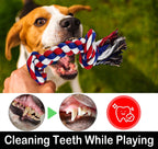Large Dog Chew Toys – 12 Pack Indestructible Cotton Rope Toys for Aggressive Chewers, Tug of War & Teething Play - FurriendlyPaws | Furry Friends, Happy Hearts