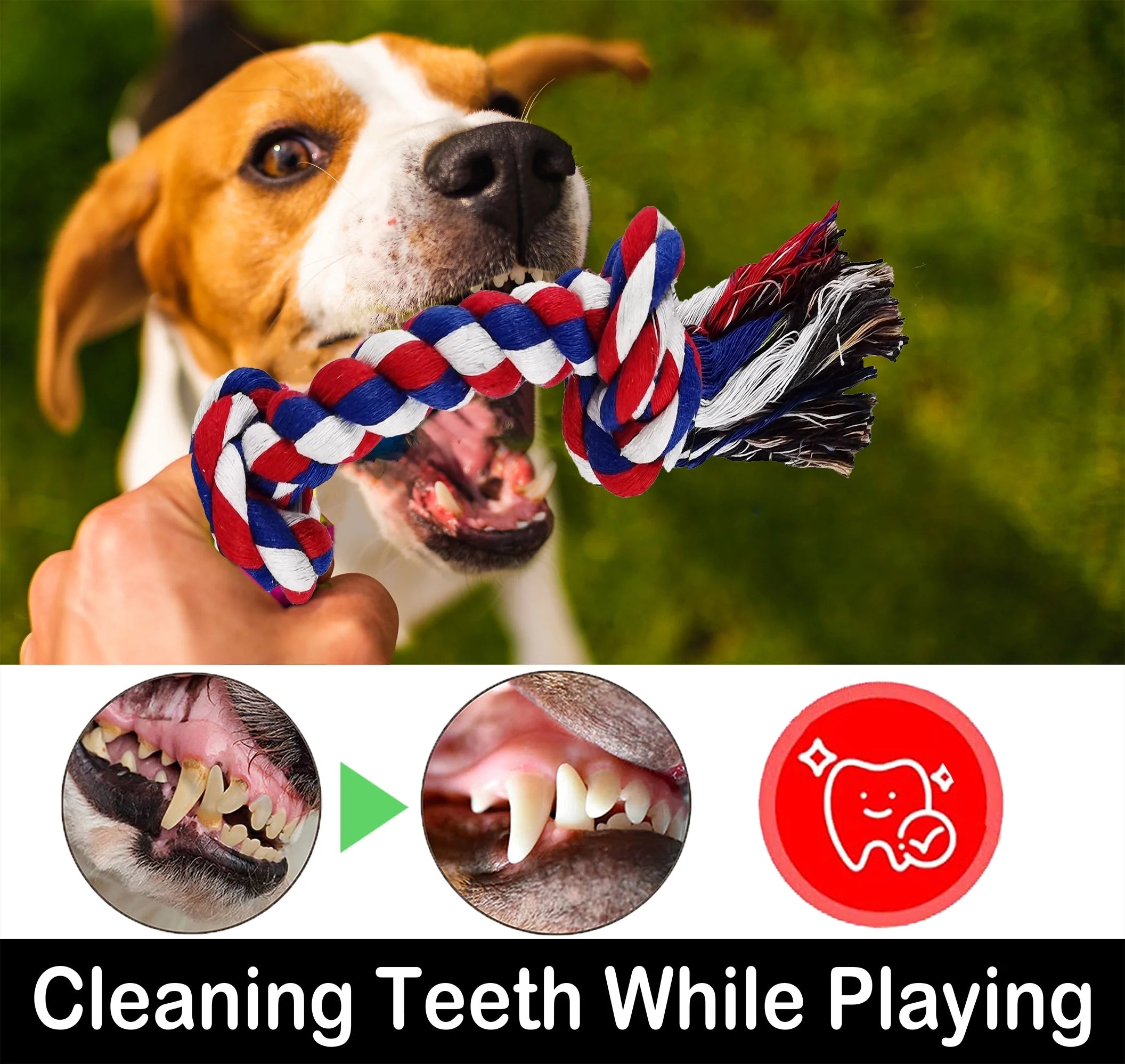 Large Dog Chew Toys – 12 Pack Indestructible Cotton Rope Toys for Aggressive Chewers, Tug of War & Teething Play - FurriendlyPaws | Furry Friends, Happy Hearts