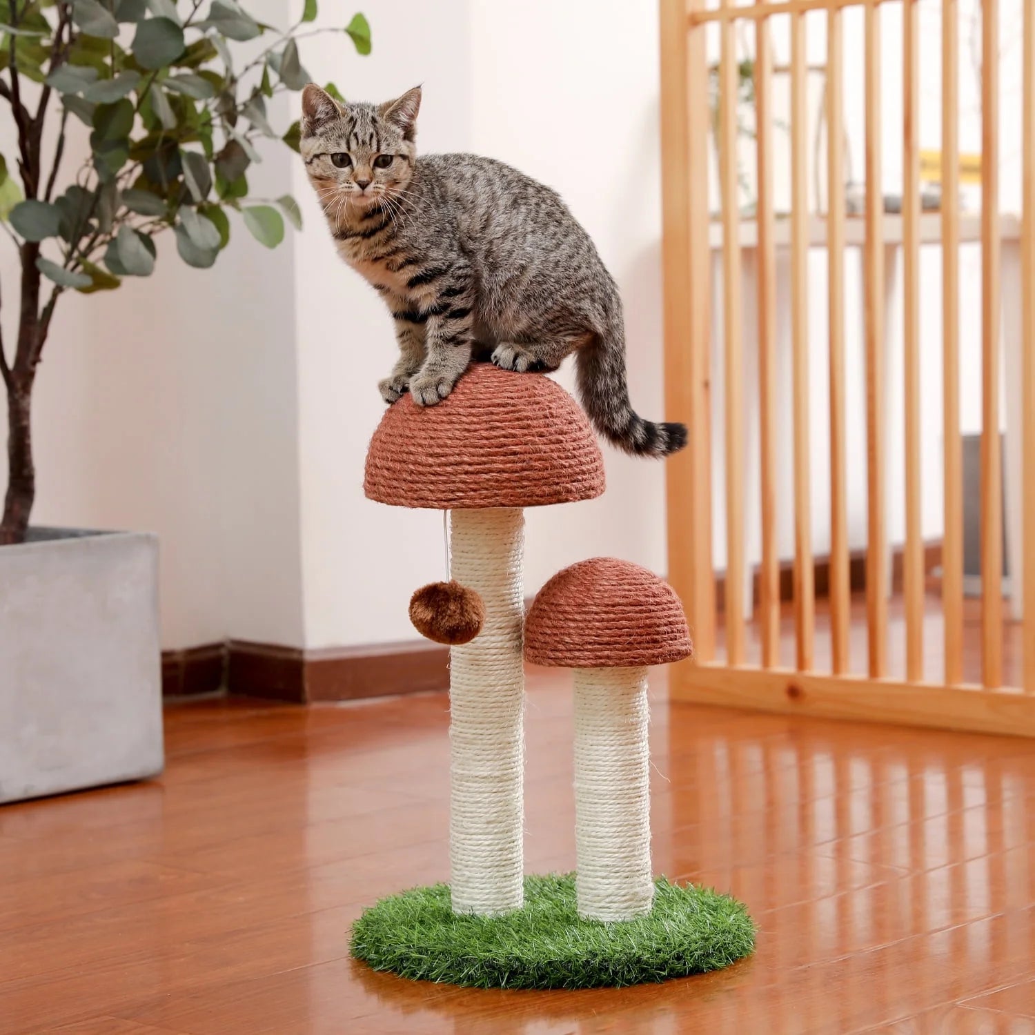 2 Mushrooms Cat Scratching Post – 19" Sisal Rope Cat Scratcher with Grass Base & Dangling Ball, Cute Mushroom Design for Kittens & Small Cats