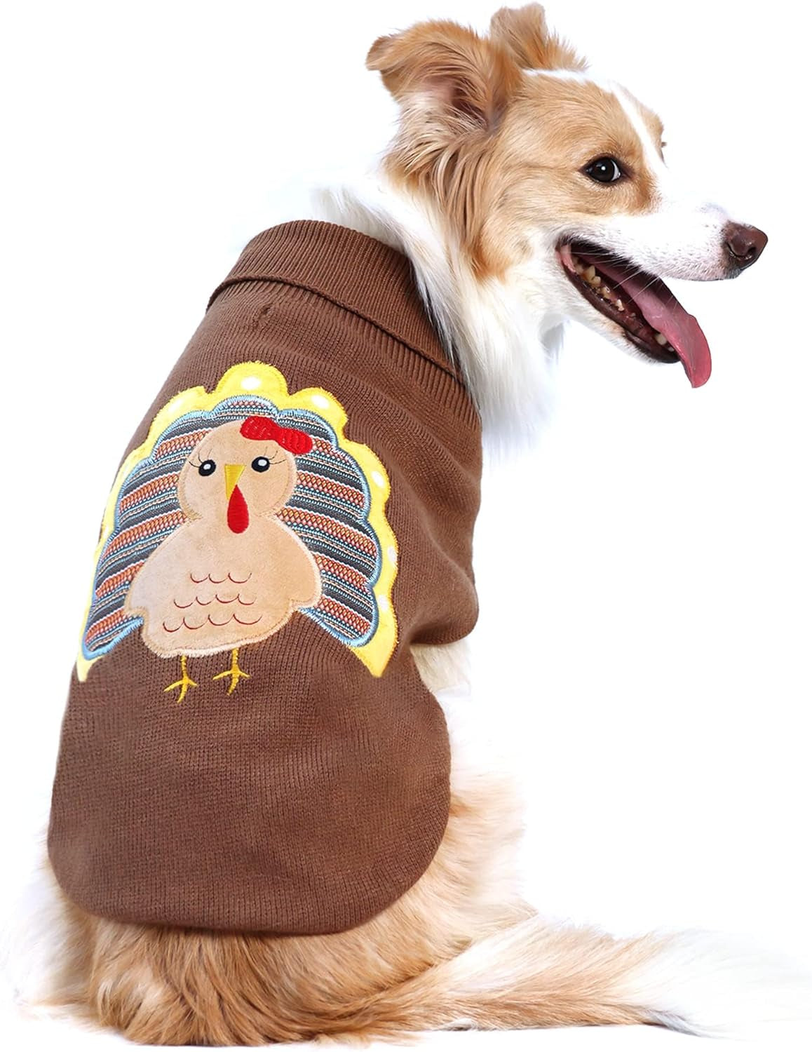 Thanksgiving Turkey Dog Sweater | Cozy Knit Fall Pet Outfit