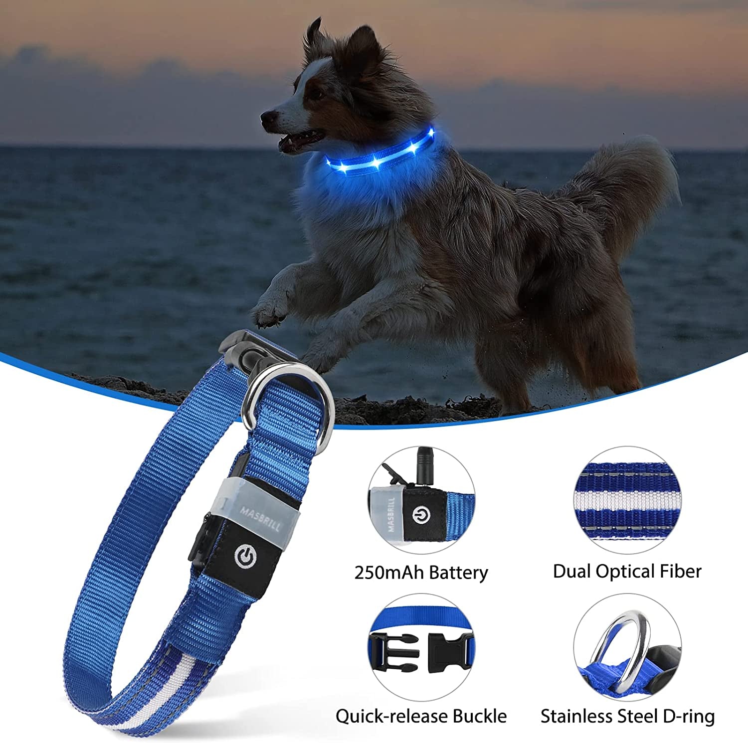 LED Dog Collar – Rechargeable Light-Up, Waterproof & Adjustable - FurriendlyPaws | Furry Friends, Happy Hearts