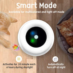 2-in-1 Smart Pet Toy – Automatic Feather & Ball, 3 Modes, Interactive Fun for Cats & Dogs