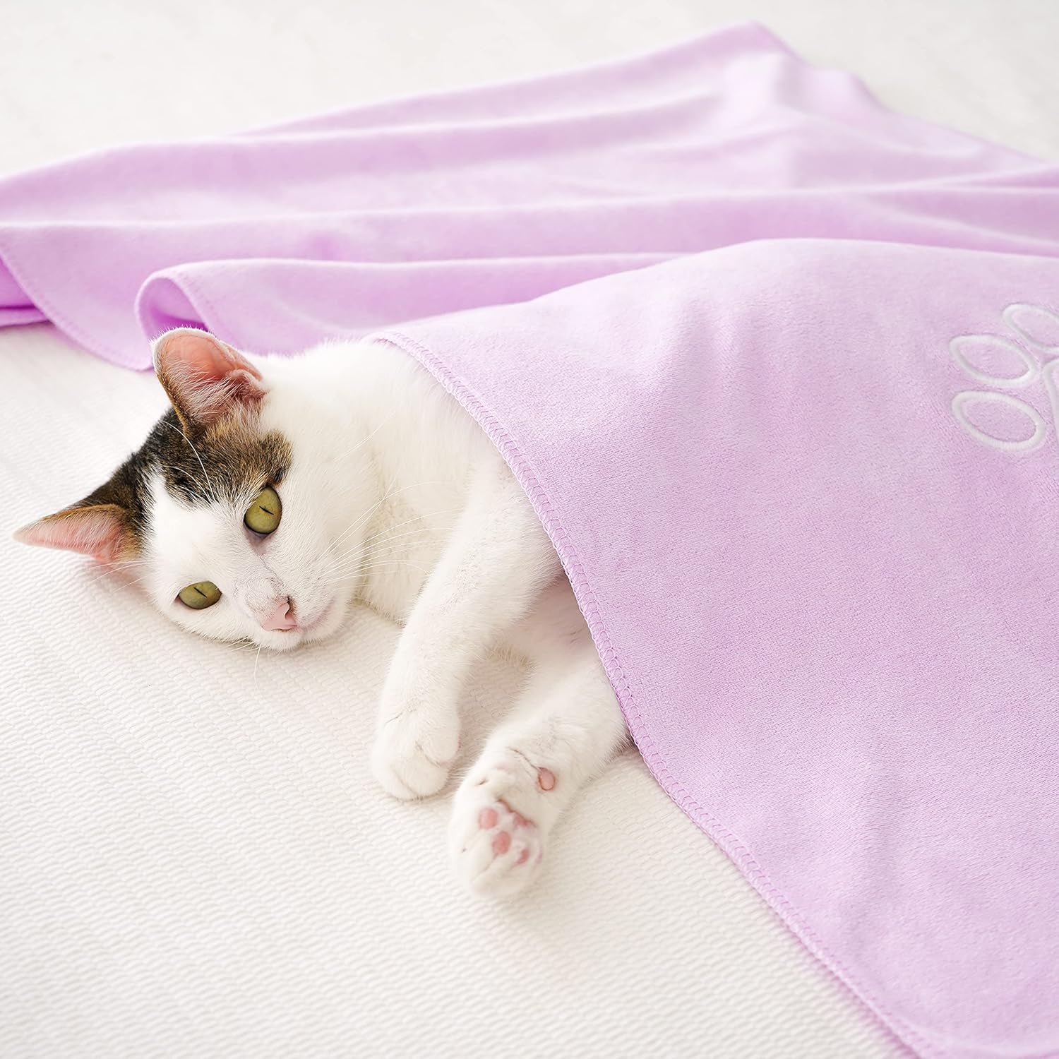 Unconditional Love Pet Drying Towel – Absorbent Microfiber for Cats & Dogs - FurriendlyPaws | Furry Friends, Happy Hearts
