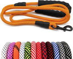 Dog leash with black handles and a carabiner, displayed with multiple color options below on a white background.