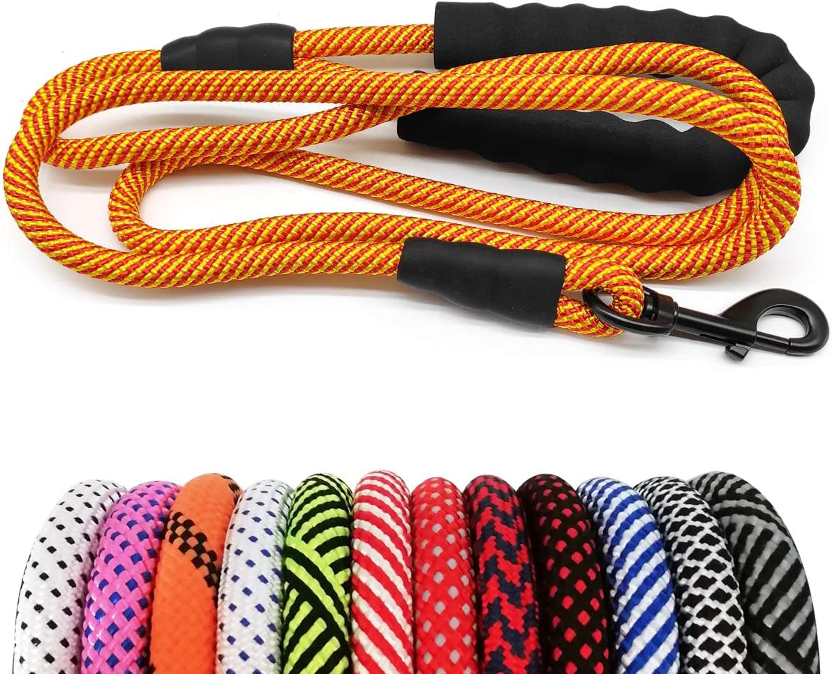 Dog leash with black handles and a carabiner, displayed with multiple color options below on a white background.
