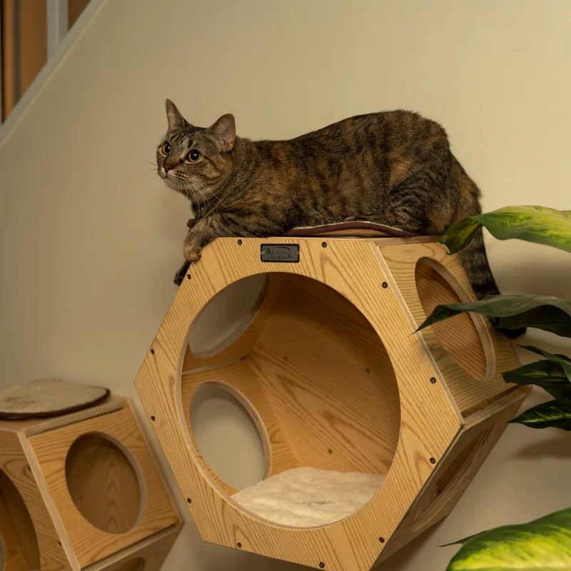 Natural Wood Cat Wall Tree Set | 2 Hexagonal Wall Condos