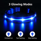 LED Dog Collar – Rechargeable Light-Up, Waterproof & Adjustable - FurriendlyPaws | Furry Friends, Happy Hearts
