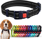 Black dog collar with a red buckle, shown with a dog and a row of colorful collars below.