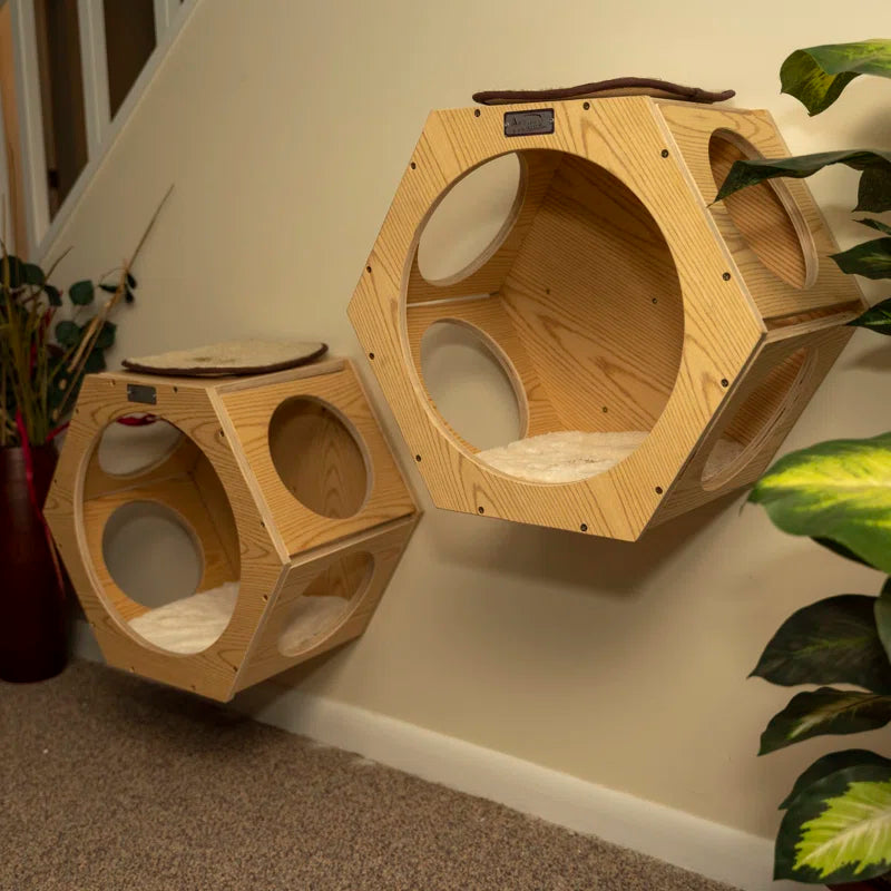 Natural Wood Cat Wall Tree Set | 2 Hexagonal Wall Condos