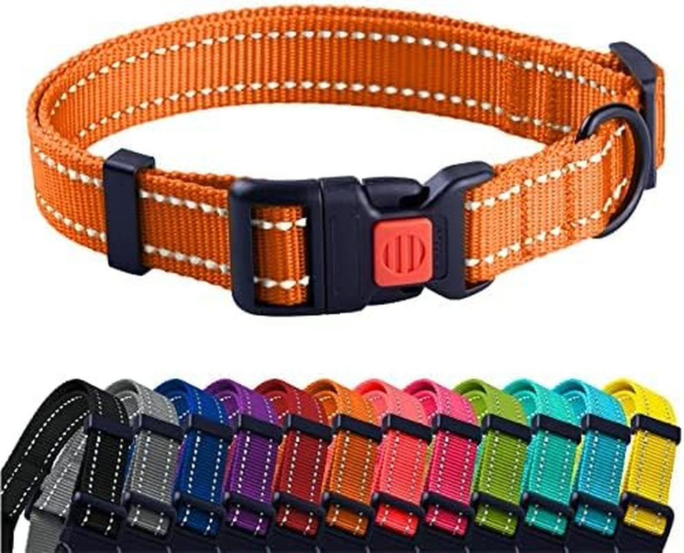 Orange dog collar with black buckle and red button, surrounded by other colorful collars on a white background.
