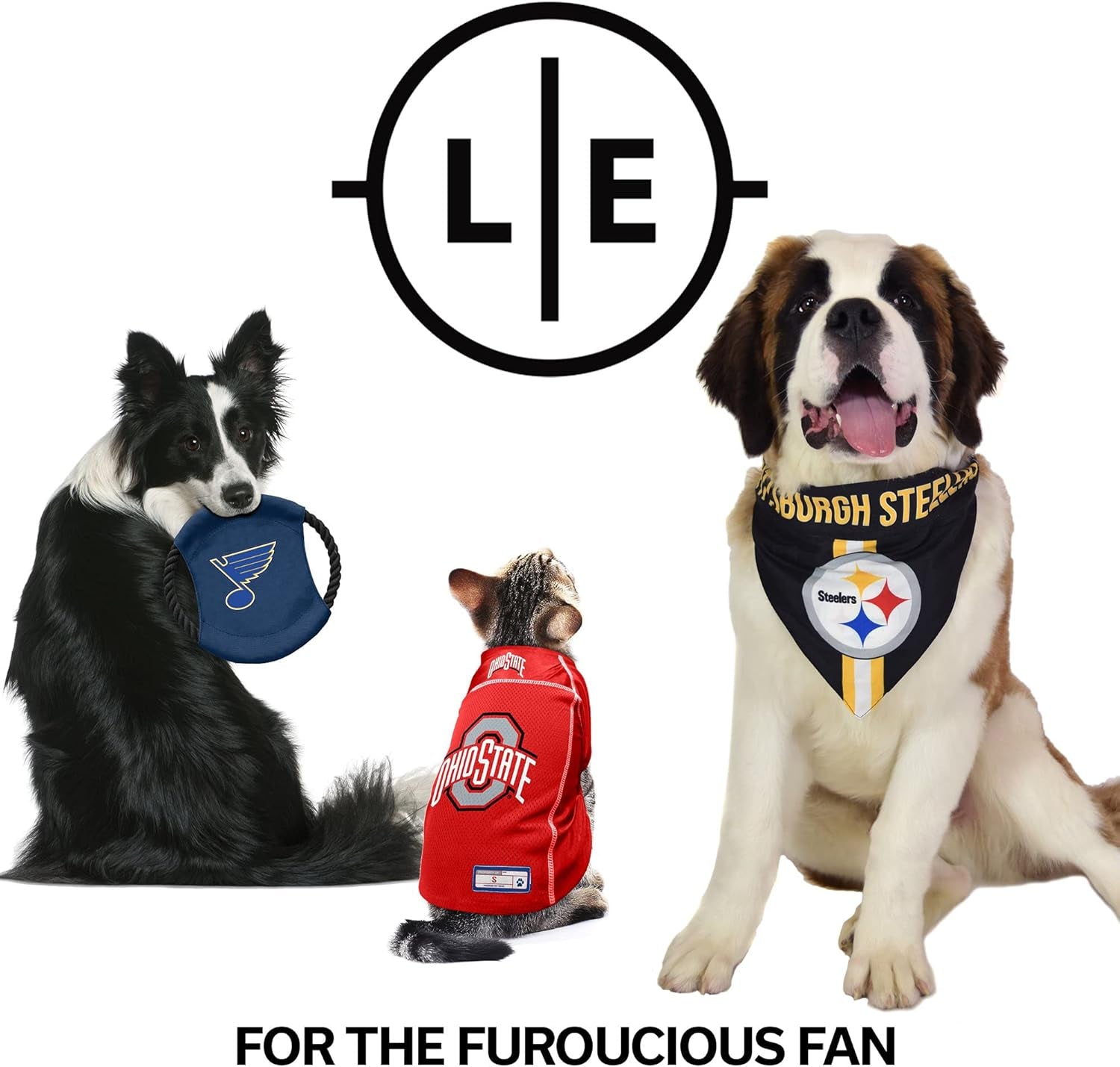 Official NFL Premium Pet Collar – Durable All-Metal Buckle