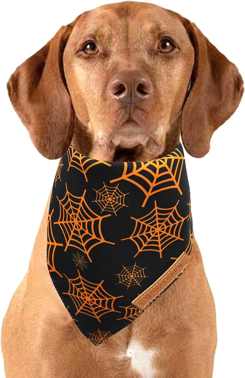 2-Pack Dog Bandanas – Reversible Triangle Pet Scarves for All Seasons, Adjustable Fit - FurriendlyPaws | Furry Friends, Happy Hearts