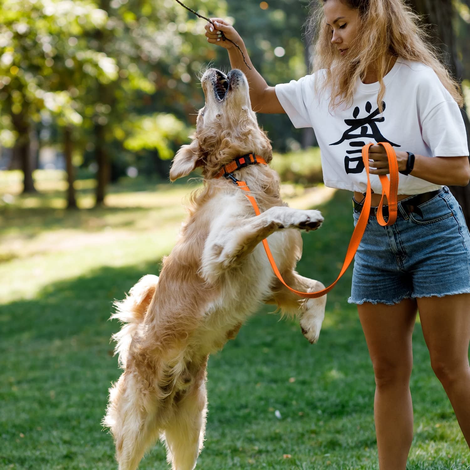 Woman playing with a dog in a park