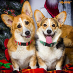 Christmas Dog Collar - Adjustable Pet Collar with Santa & Snowflakes