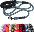 Dog leash with black clip and colorful options below on a white background