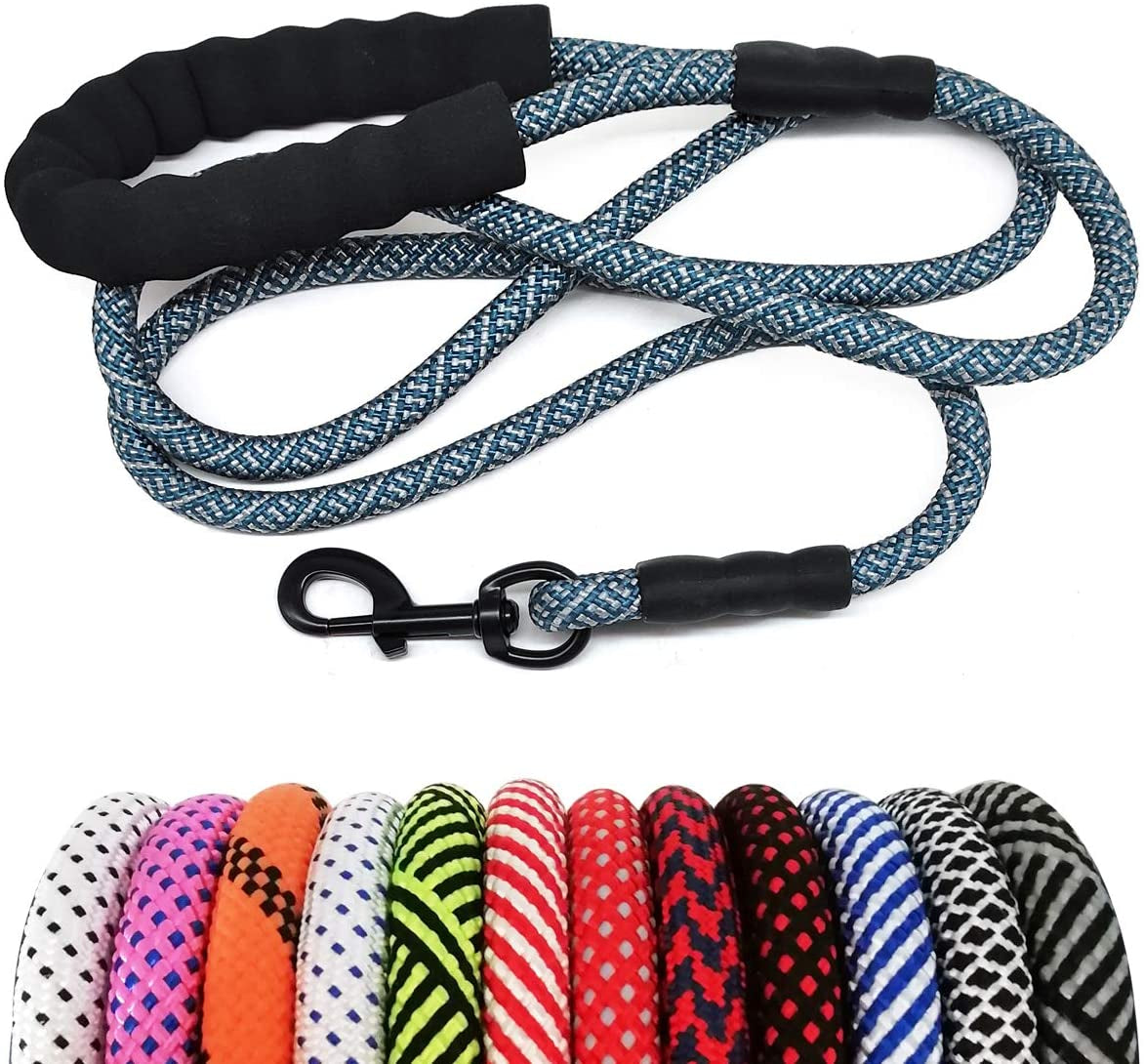 Dog leash with black clip and colorful options below on a white background