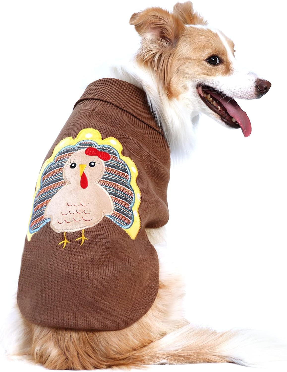 Thanksgiving Turkey Dog Sweater | Cozy Knit Fall Pet Outfit