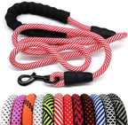Red and white rope dog leash with black handle and clip, displayed with additional colorful leashes below.