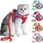 Escape Proof Cat Harness & Leash Set – Reflective, Adjustable, Secure - FurriendlyPaws | Furry Friends, Happy Hearts