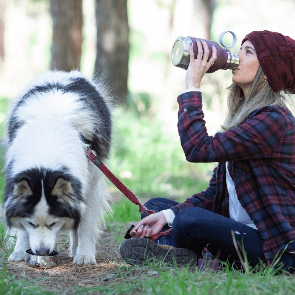 Buddy Bottle™ by Asobu – Stainless Steel Insulated Water Bottle with Removable Dog Bowl & Treat Storage