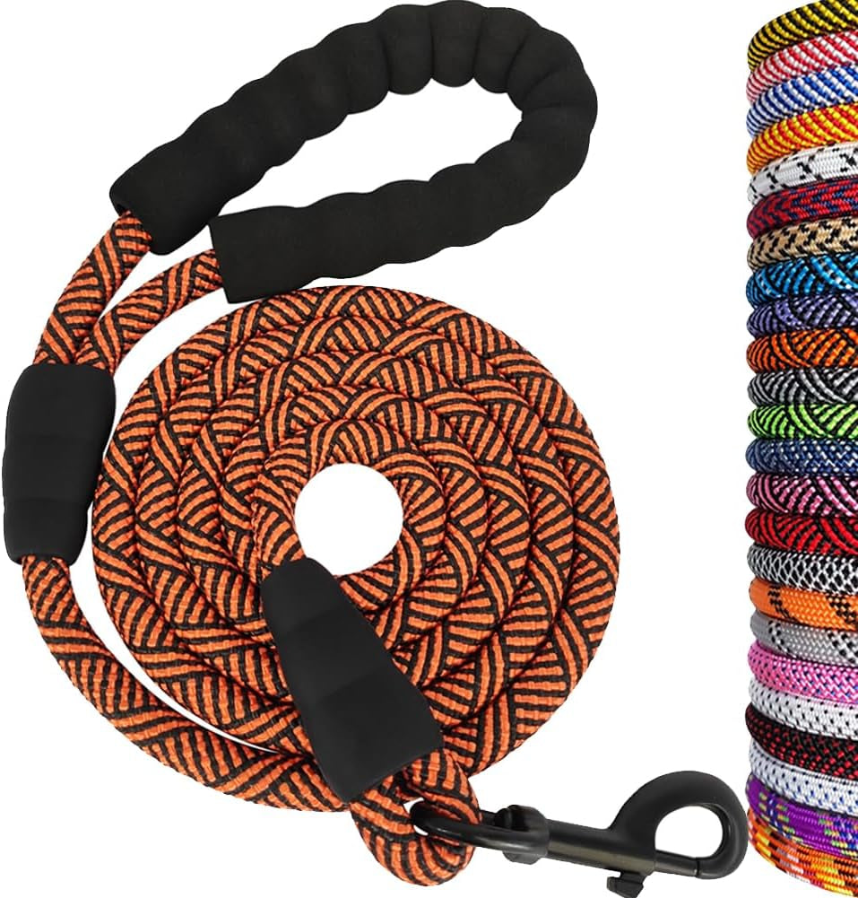 Dog leash with black handles and orange pattern, alongside a colorful selection of leashes.