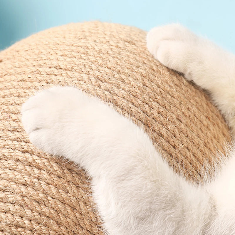 FurriendlyPaws | Furry Friends, Happy Hearts