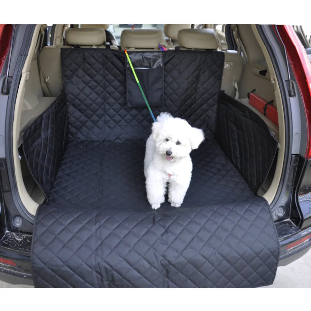 FurriendlyPaws | Furry Friends, Happy Hearts