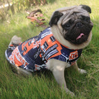 Keep Your Pup Cozy & Stylish – Winter Walks Made Easy