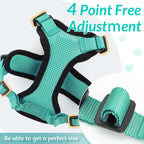 Explore Safely – Escape-Proof Cat Harness & Leash for Outdoor Adventures!