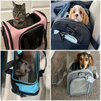 PawPort™ Travel Carrier – Breathable Mesh Pet Bag for Cats & Small Dogs