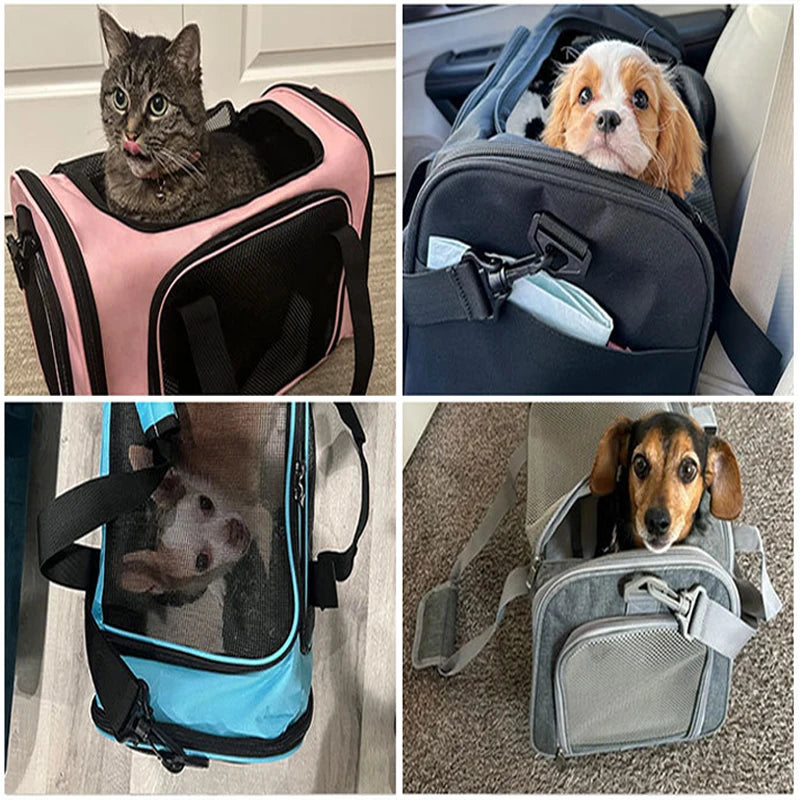 PawPort™ Travel Carrier – Breathable Mesh Pet Bag for Cats & Small Dogs