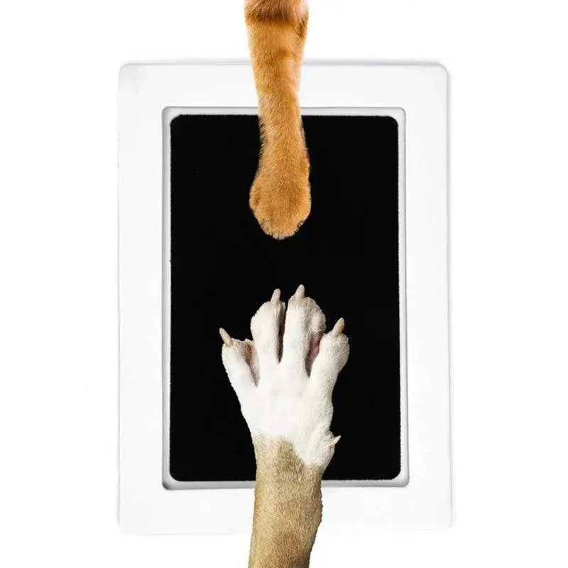 Safe Non-Toxic Pet Paw Print & Handprint Ink Pad.3. - FurriendlyPaws | Furry Friends, Happy Hearts