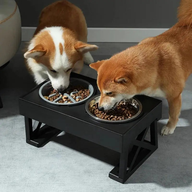 Elevated Dog Food & Water Feeder with Adjustable Height.12. - FurriendlyPaws | Furry Friends, Happy Hearts