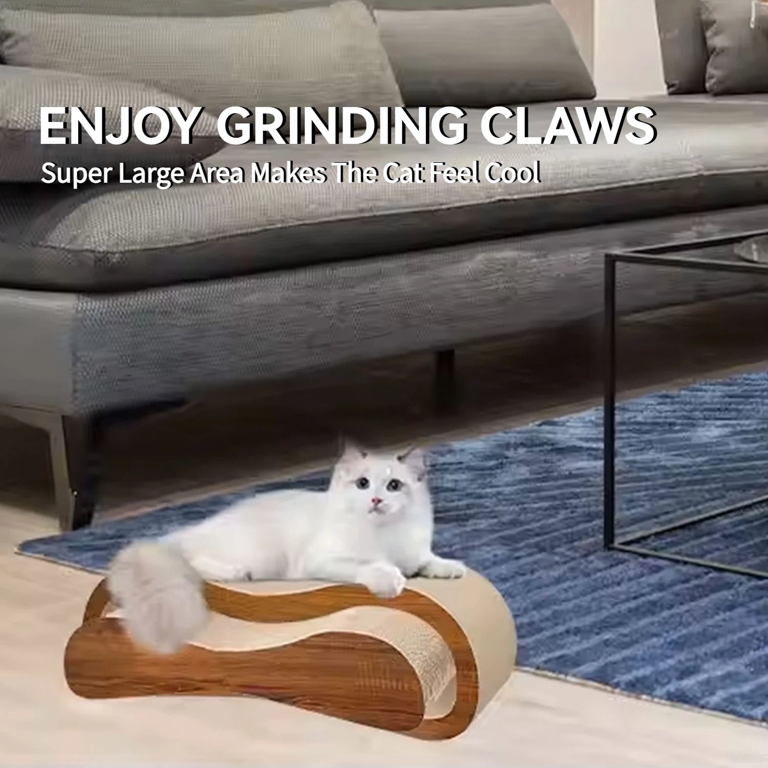 FurriendlyPaws | Furry Friends, Happy Hearts