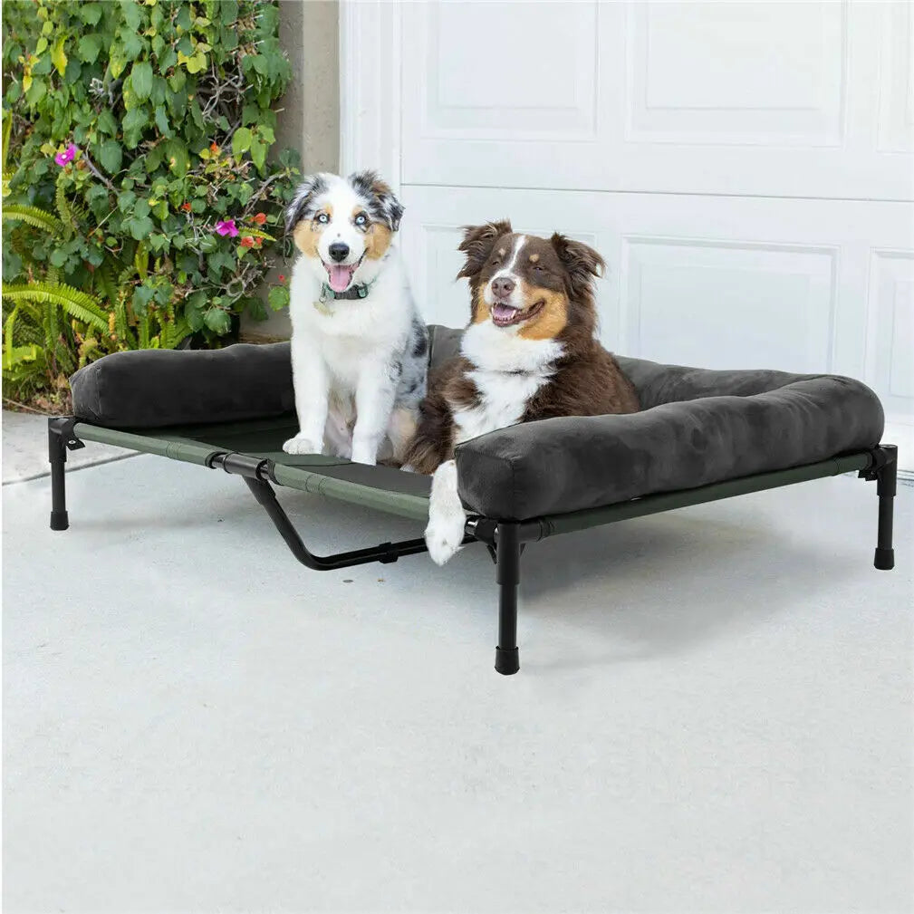 FurriendlyPaws | Furry Friends, Happy Hearts