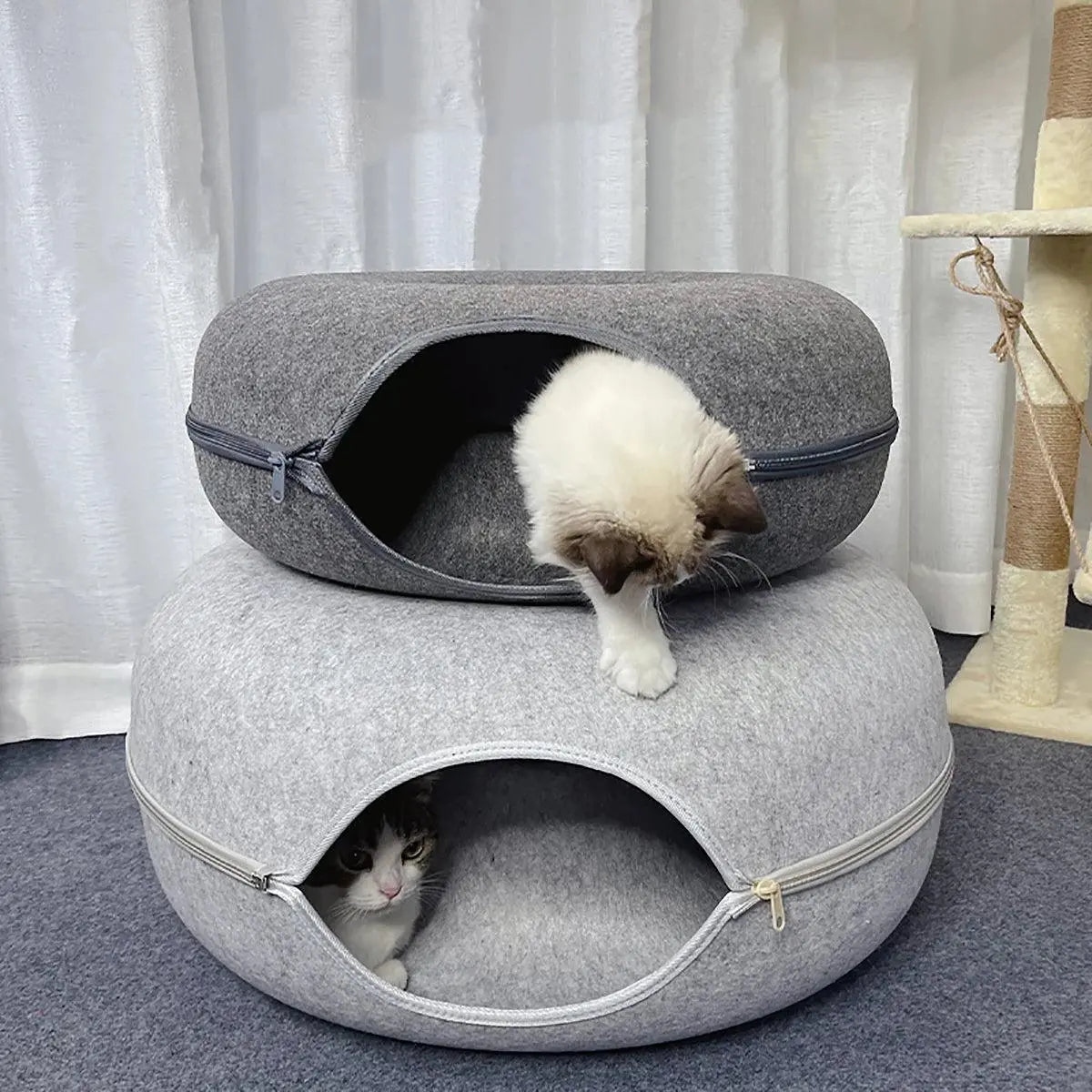 Donut Cat Bed & Tunnel - FurriendlyPaws | Furry Friends, Happy Hearts